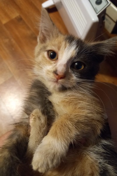 5889