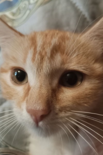 777